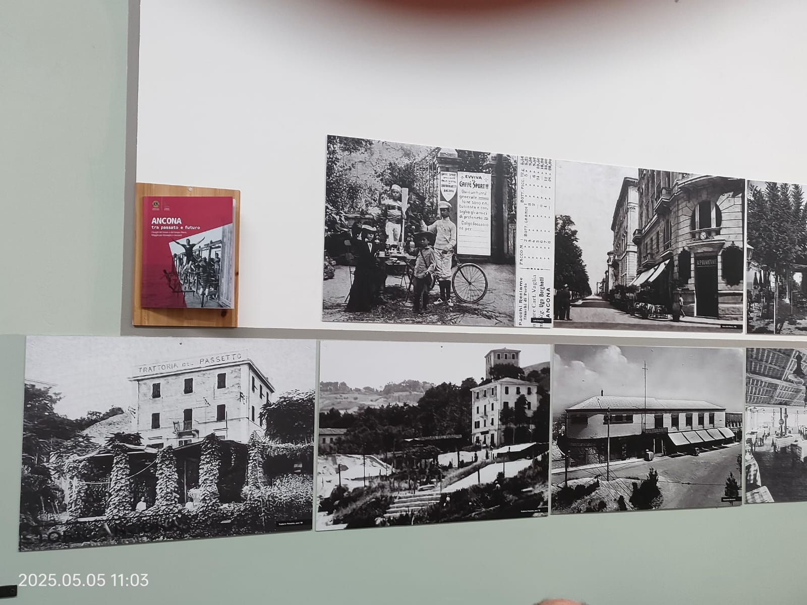 WhatsApp Image 2025-05-05 at 14.54.01 (3)